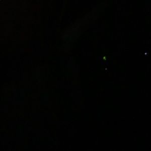 Meet your Posher, Shayden